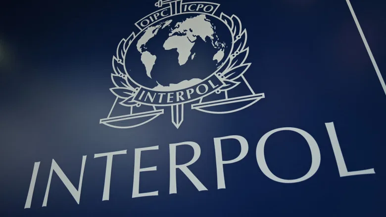 Inginerie socială: ce arată operațiunea Interpol
