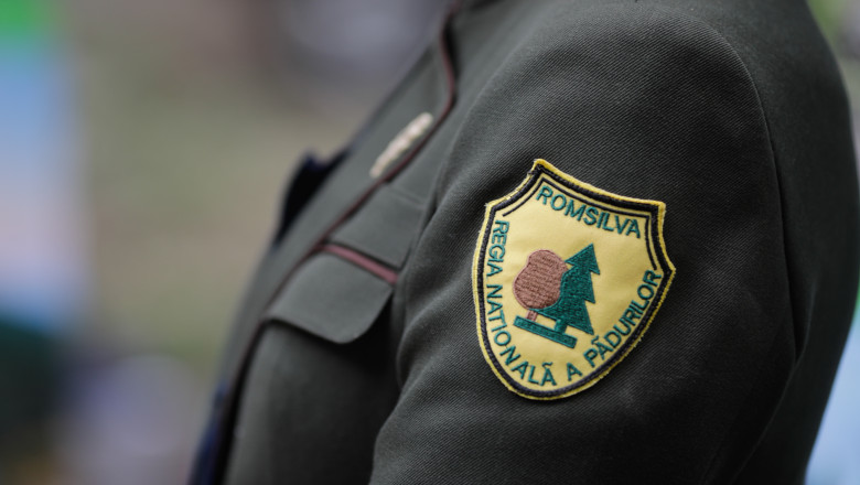 Romsilva trece printr-o reorganizare masivă: 41 de direcții devin 19