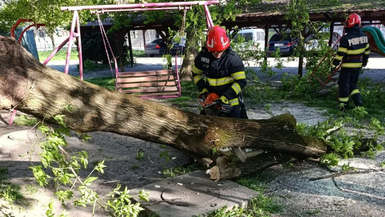 Vântul puternic în țară: județele lovite cel mai tare