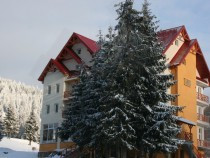 pensiune-in-arieseni-ctr-2009-sc-910-mp-dp2e