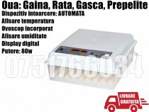 incubator-clocitoare-64-oua-gaina-rata-gasca-prepelite-pui