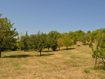 teren-4000-mp-zona-de-dealuri-oradea-panorama-superba