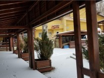 restaurant-capriciu-zona-bradet