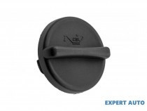 buson-ulei-opel-astra-j-2009-p10