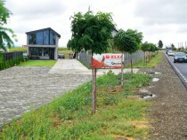 spatiu-comercial-dumbraveni-suceava