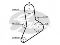 curea-de-distributie-fiat-132-1972-1982-149ah30