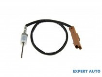 senzor-temperatura-gaze-dpf-peugeot-expert-1995-2007-224