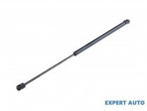 amortizor-portbagaj-renault-megane-ii-2002-2011-bm01-cm