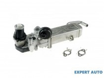 egr-volkswagen-passat-b7-2010-03l131512ap