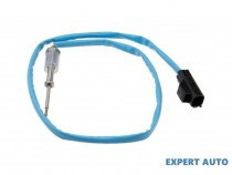 senzor-temperatura-gaze-dpf-citroen-jumper-11-egt-ct-008