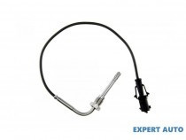 senzor-temperatura-gaze-dpf-fiat-ducato-2006-250-51825