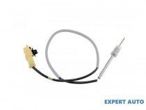 senzor-temperatura-gaze-dpf-renault-laguna-iii-2007-bt