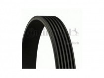 curea-transmisie-cu-caneluri-audi-a3-2004-2013-8pa-02214