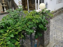 spatiu-comercial-dobrogeanu-gherea-280-euro-utilitati-incl