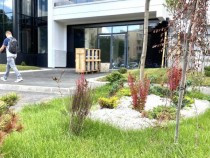 spatiu-comercial-central-pretabil-pentru-showroom-supermark