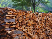 rumegus-de-fag-uscat-cu-ciresprun-mar-visincititi-anuntul