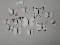 fluturi-decorativi-3d-cu-magnet-albi