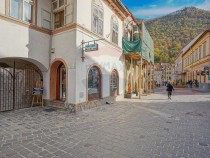 proprietate-speciala-appolonia-hirscher-centrul-istoric