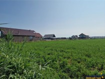 11000-mp-oportunitate-investitie-teren-bod-brasov