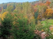 casa-individuala-cu-gradina-si-curte-zona-schei