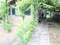 casa-cu-curte-si-gradina-tractoru-zona-patinoar-olimpic-pi